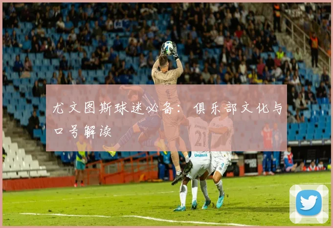 尤文图斯球迷必备:俱乐部文化与口号解读