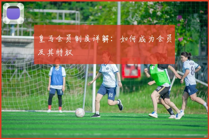 皇马会员制度详解：如何成为会员及其特权